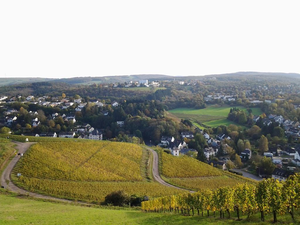 Апартаменти Saar-Mosel-Tal Конц Екстер'єр фото
